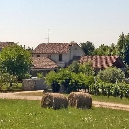 Bed and Breakfast Il Giuggiolo Conegliano Exterior foto