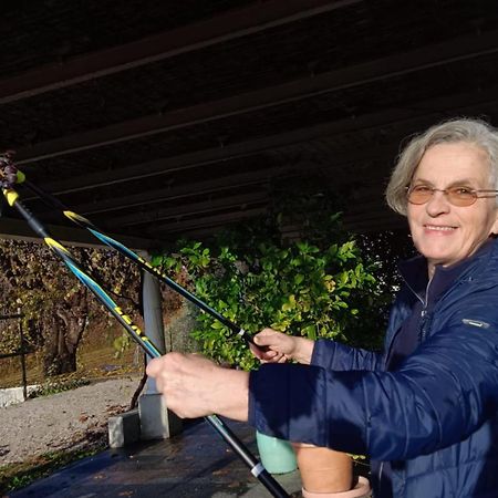 Bed and Breakfast Il Giuggiolo Conegliano Exterior foto