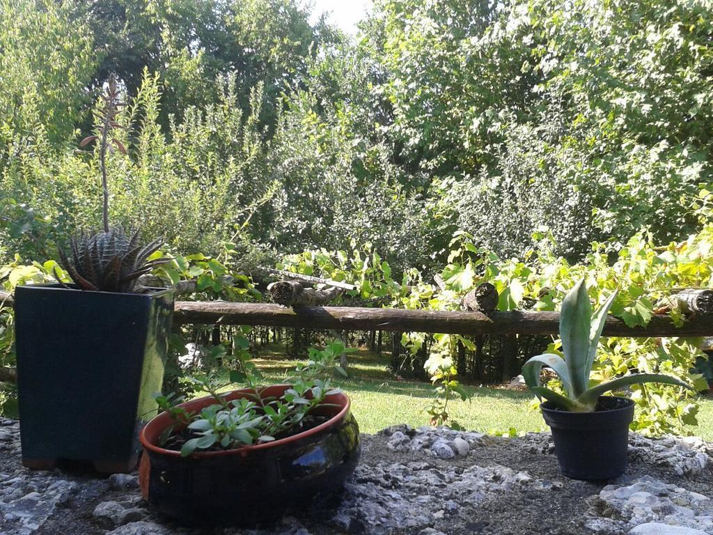Bed and Breakfast Il Giuggiolo Conegliano Exterior foto
