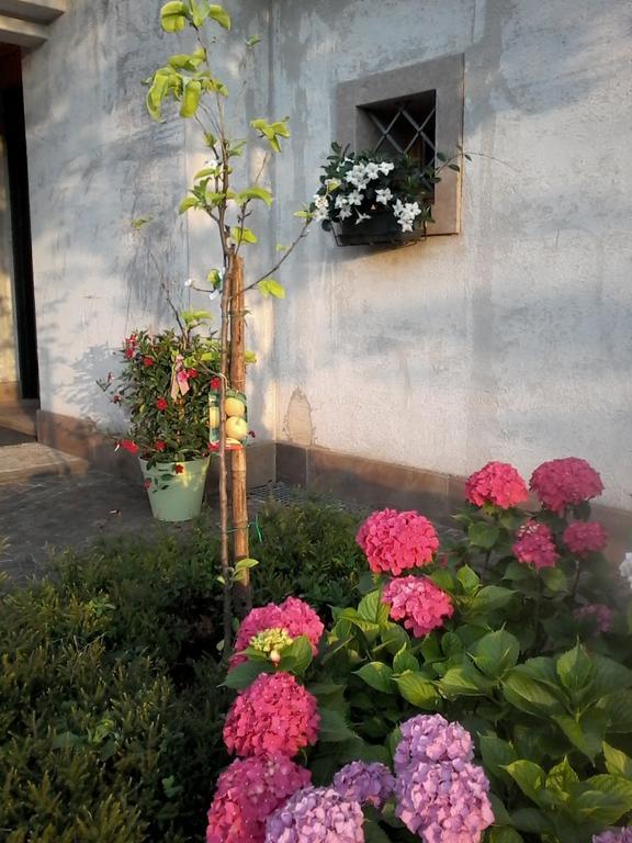 Bed and Breakfast Il Giuggiolo Conegliano Exterior foto