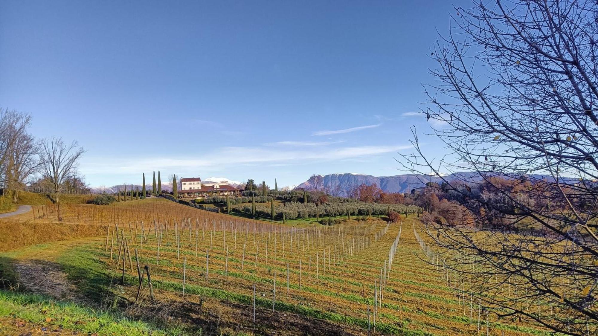 Bed and Breakfast Il Giuggiolo Conegliano Exterior foto