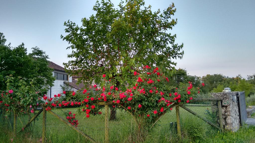 Bed and Breakfast Il Giuggiolo Conegliano Exterior foto