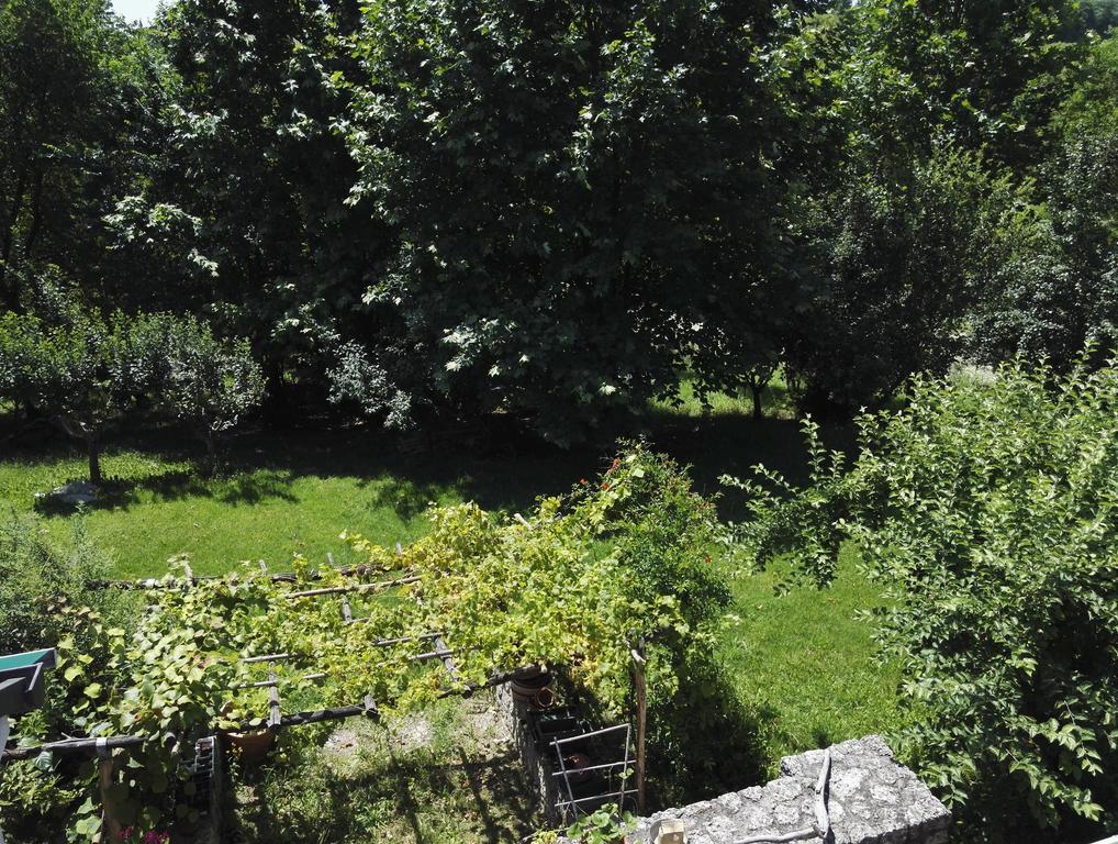 Bed and Breakfast Il Giuggiolo Conegliano Exterior foto