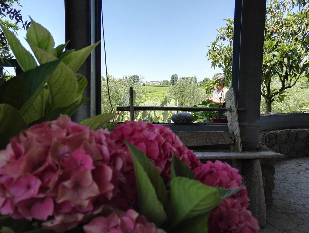 Bed and Breakfast Il Giuggiolo Conegliano Exterior foto